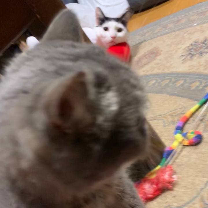 576a3406 fd63 458f a128 2b01723ecbf1 1562414014732