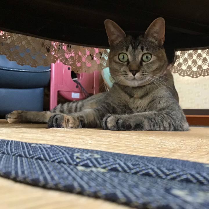 576a537c 8e47 4aa2 b7fa 147e604c034b 1591324582094