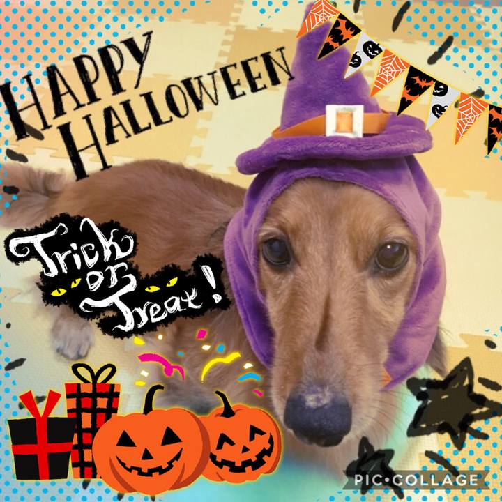 576a5b4f 8912 4240 a204 ec1961cbb142 1509408862102