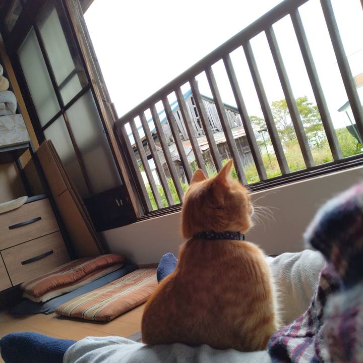 576a886a e9e2 45d1 94d9 101d8786e5ac 1665369060703