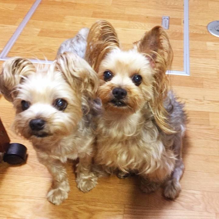 576b0a7b 5307 4ea7 b0d1 ca7f79d23789 1533522048180