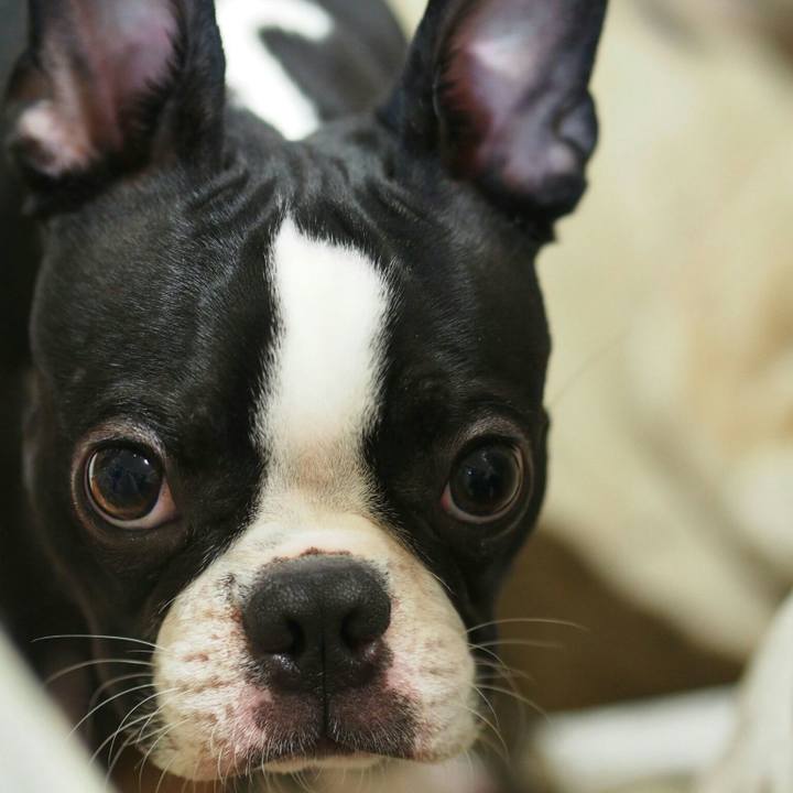 576b157c 4c2b 417d 86e0 38a04618a0d0 1513688441906