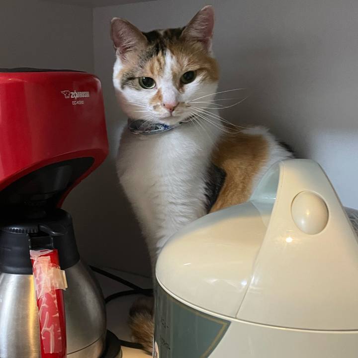 576b6870 60aa 47a2 94f3 54fff4b14cc4 1718941151611