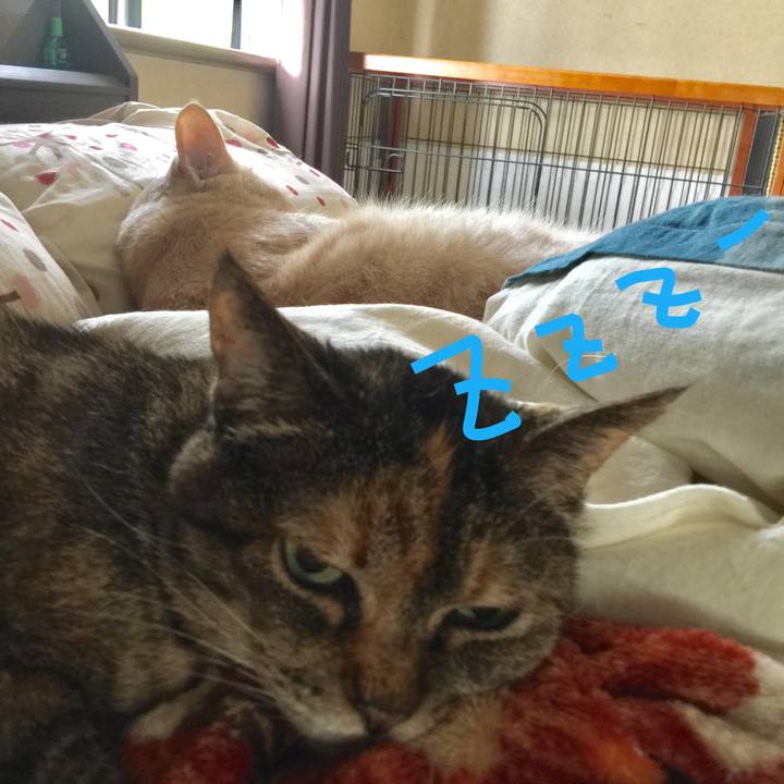 576bbe6b 92d0 4a74 bfc0 68eb4ff5f521 1529896040137