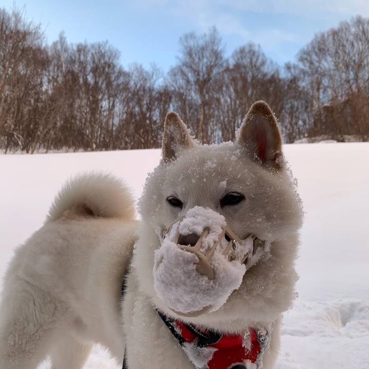 576c0497 9f71 42c8 922a 610c1c17b305 1612787636924