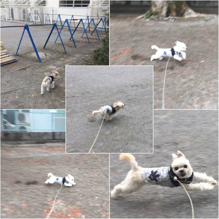 576c0788 a825 4b5e 8ff7 da366787e1fc 1523778516831