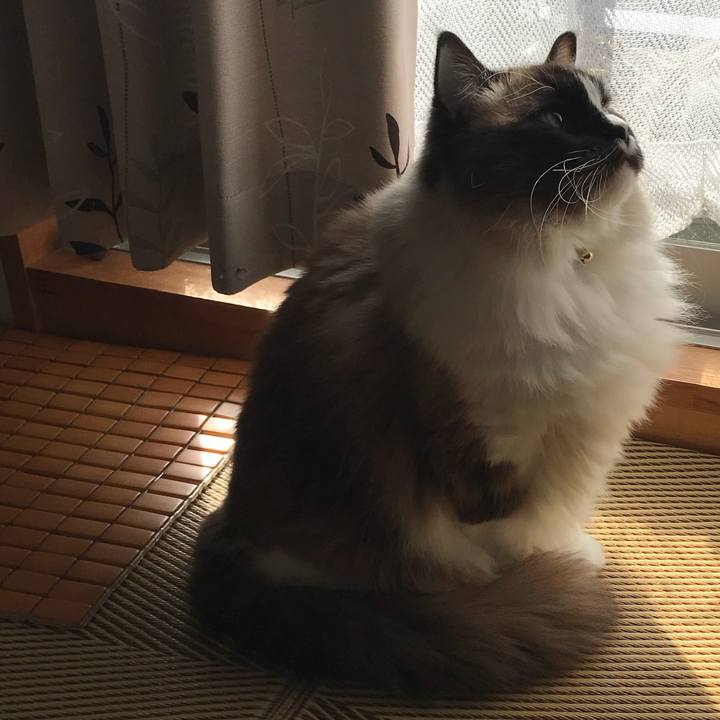 576c3285 797e 4428 a227 a76c18ebaaf2 1517747341407