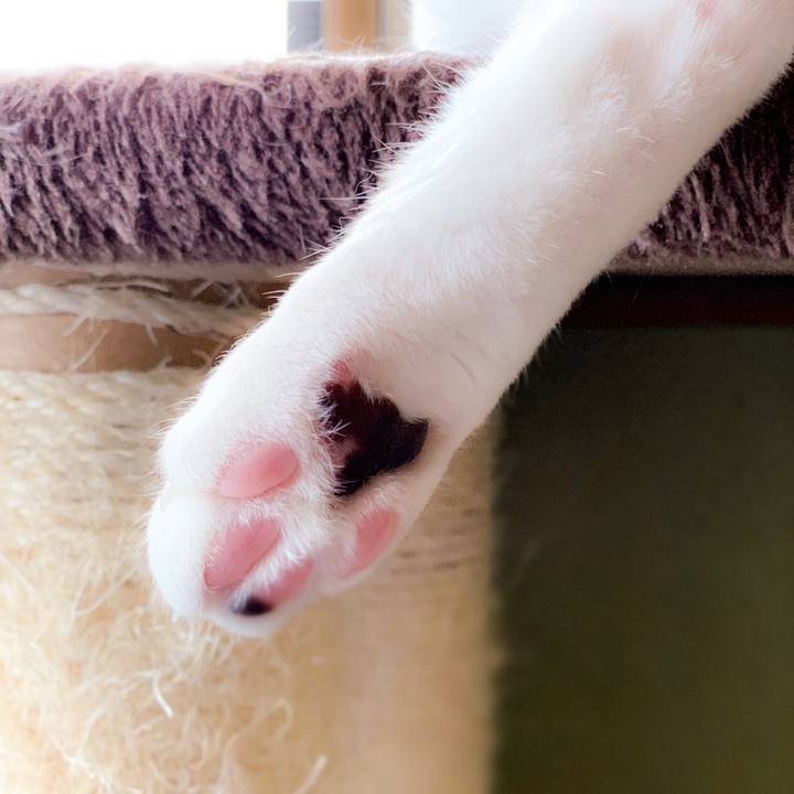 576c548e ea4b 4ade bde2 653610721b70 1562379627081