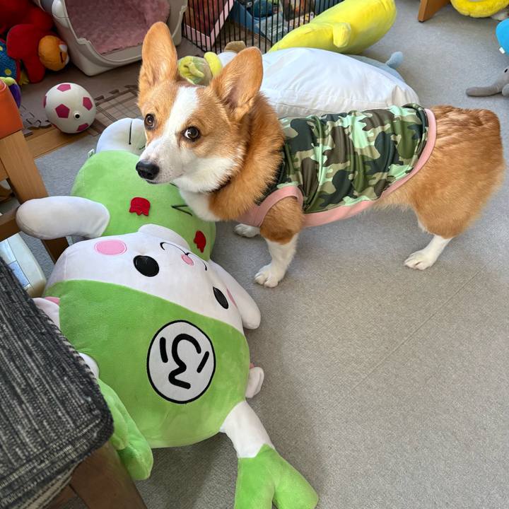 576ca682 6b8a 4c48 b834 55a894710d96 1771376942916