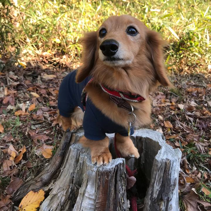 576cb79c be79 437d aaea 0832194e308f 1575779424793