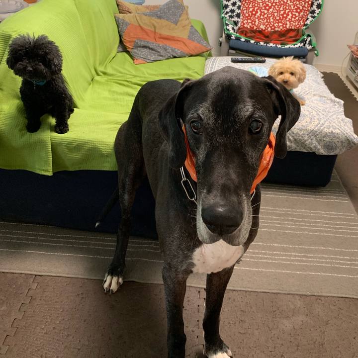 576cca95 a1ca 409f b6e3 88322a0865de 1564439656298