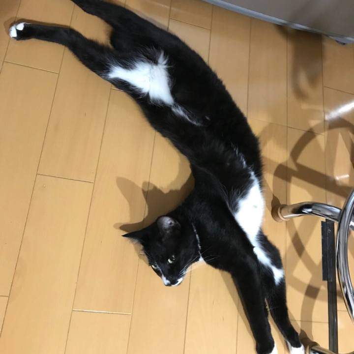 576ce327 0d94 43d4 ad12 b99111ed965e 1532259889898