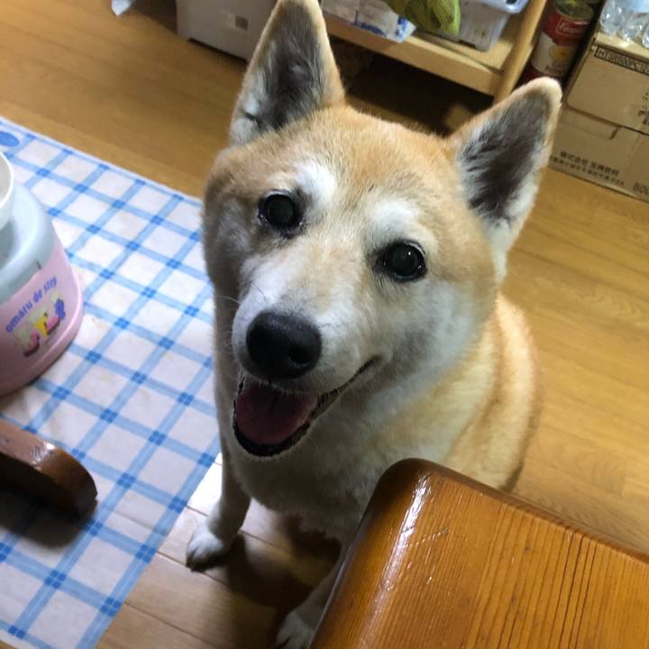 576ced97 c0ea 46ae 929f 4f8965e4bcb8 1592023022849