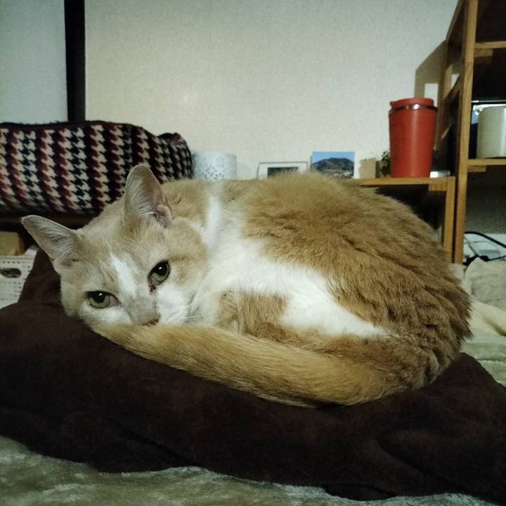 576d140b 2e2d 4bb9 b4e7 351229e35799 1647776884391