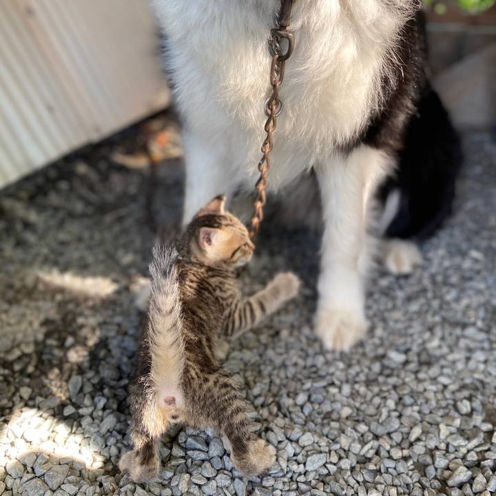 576d21ce 43da 44ce b4a2 97343934a197 1722415071717