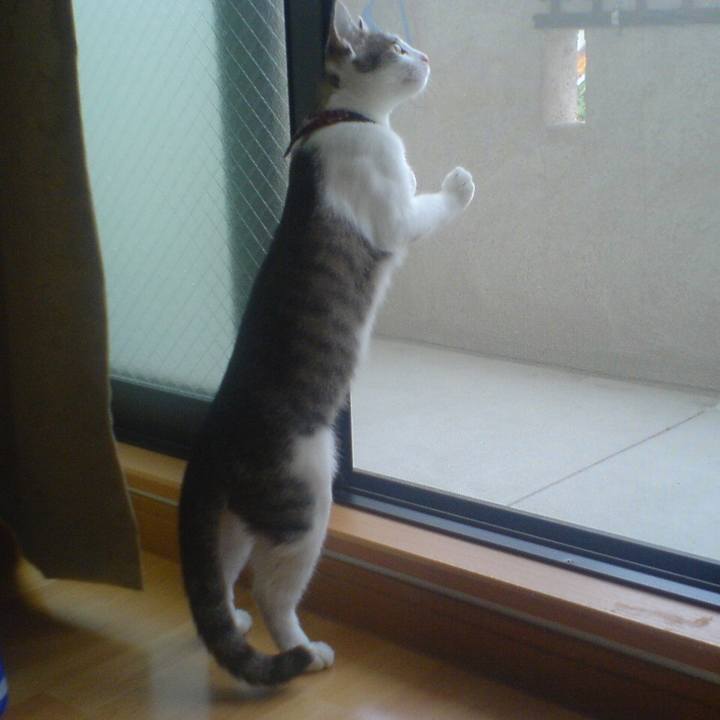 576d2da0 3ec0 40dd 85cd ed67b7d8c980 1687740785993