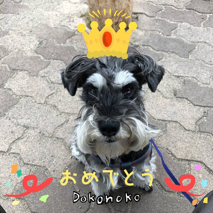 576d375e 0c91 4528 8168 8e41b07a56cf 1685999474407