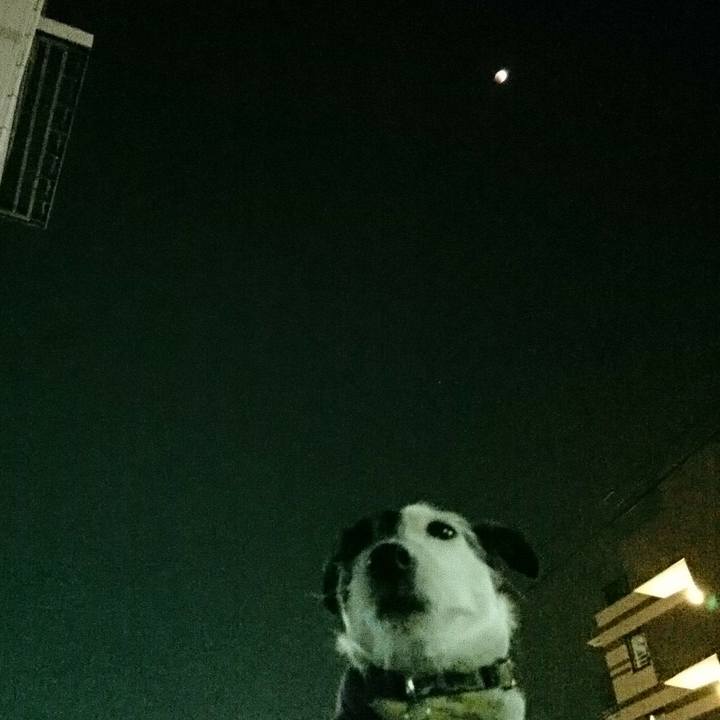 576d37be 2974 4918 ac0f f6a1f1ac9009 1517402773129