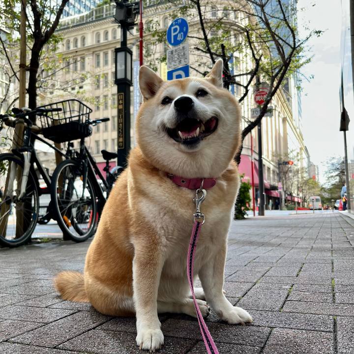 576d82bd d3da 4281 a99a 5137e624e214 1699147767277