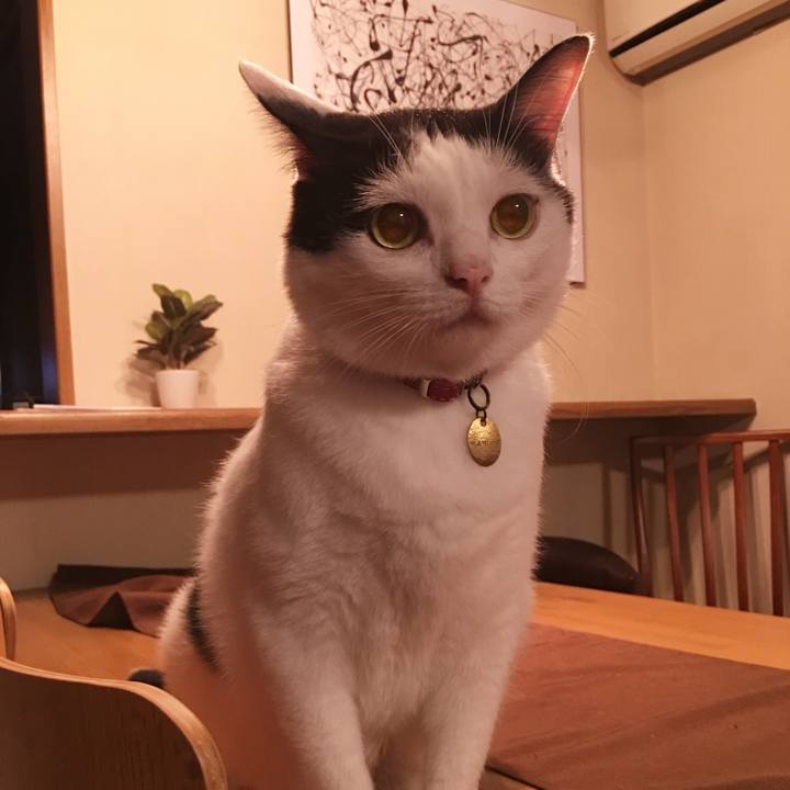 576df614 5e47 4b2c b747 23492509cab3 1538293909088