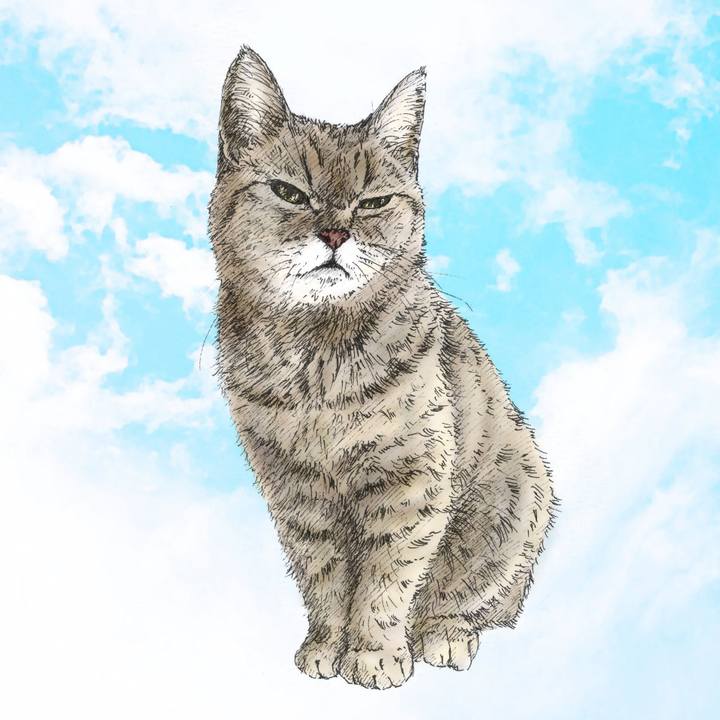 576e011f 4226 40e7 8549 ce1213a56c06 1566569724698