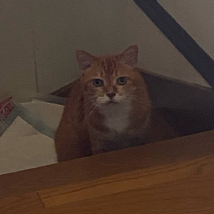 576e1b81 6894 435d 82c6 44269d1903c3 1720477780703