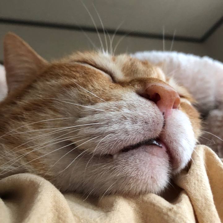 576e1db8 f8e3 4de2 8b83 007c5ba3ca39 1720208955550