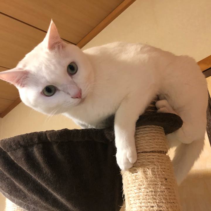 576e1eb2 0eb7 4bcb aecd 12cfd8b04cbf 1588561407175