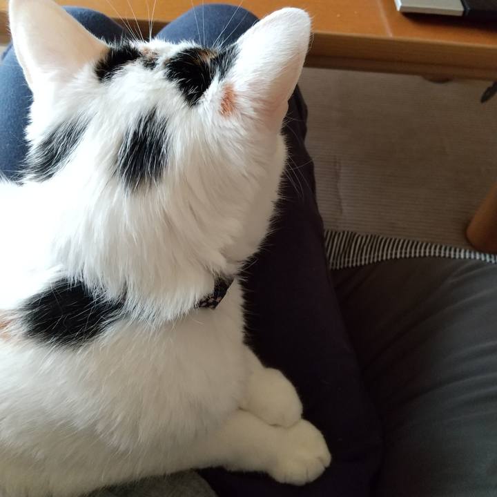 576e3752 6093 4289 86f3 e3e241f7d335 1592612197916