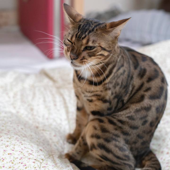 576e41d6 e602 4477 a927 6ccec17a4ff6 1524836882809