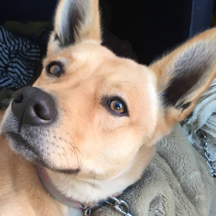 576e58c6 50ae 4236 b734 264a1353cbb7 1515308214102