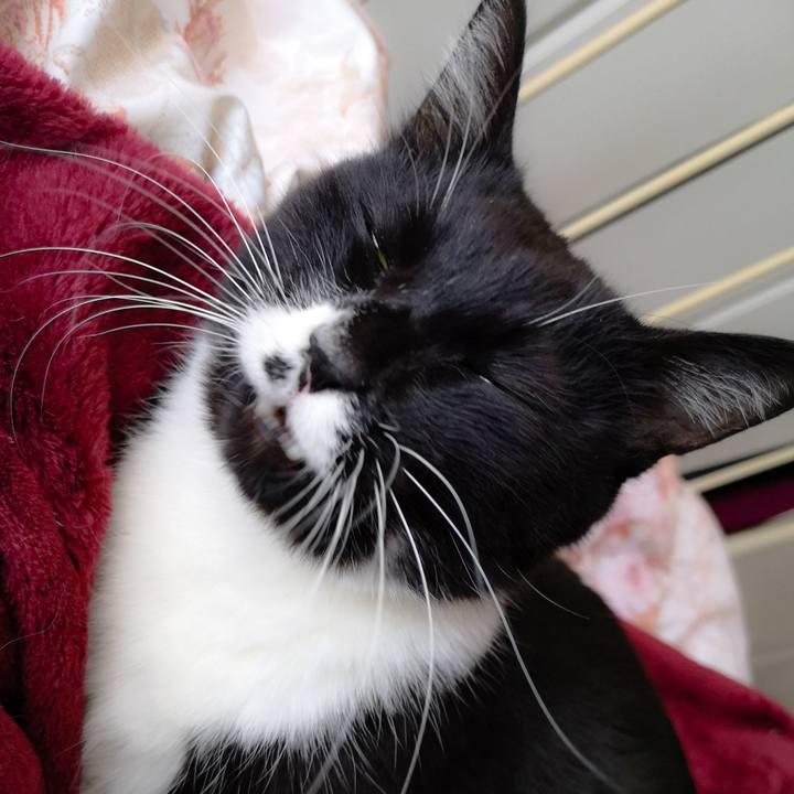 576e6534 ce69 4aa4 a335 009b4b5f8e1f 1578880224940