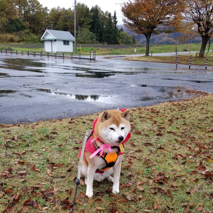 576e6831 9390 4286 b486 104b6075e903 1636434936745