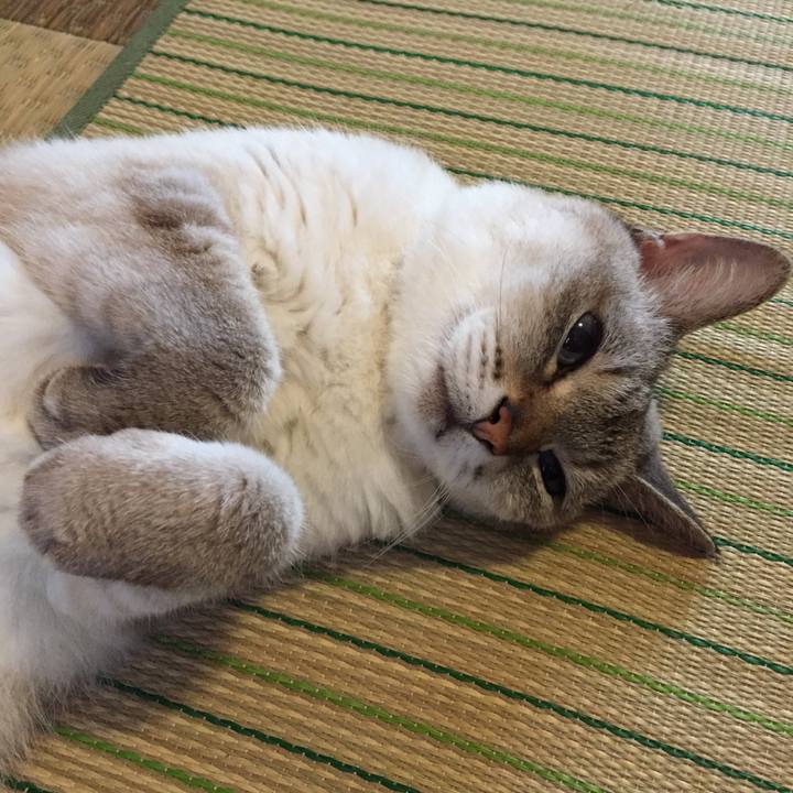 576e6da7 673b 45a0 bfdd eb13b2a7c510 1532298234900