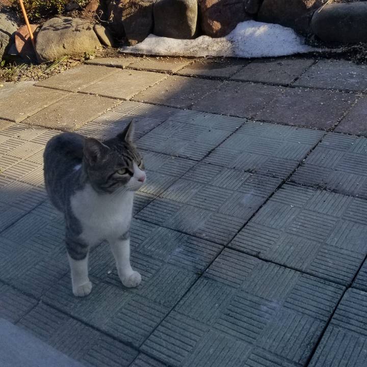 576ebef4 54e7 4c86 8519 a495163b3d5e 1679235818299