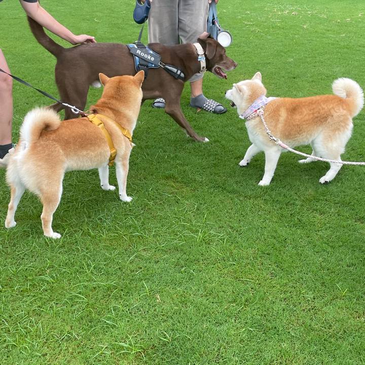 576edacc 1743 4cb8 bbc7 01f0a1b3da8b 1695555124692