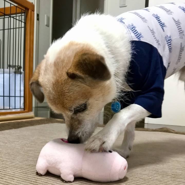 576ede8c 5959 4cae a57e 8d1c885c0f2a 1666149607057