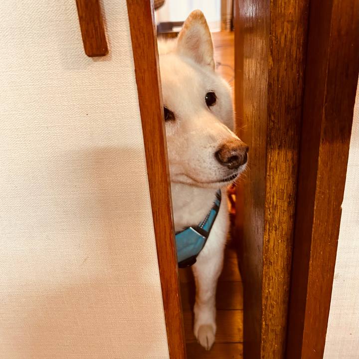 576ee6b5 ff01 47d9 af36 6afc622166a1 1731877768879