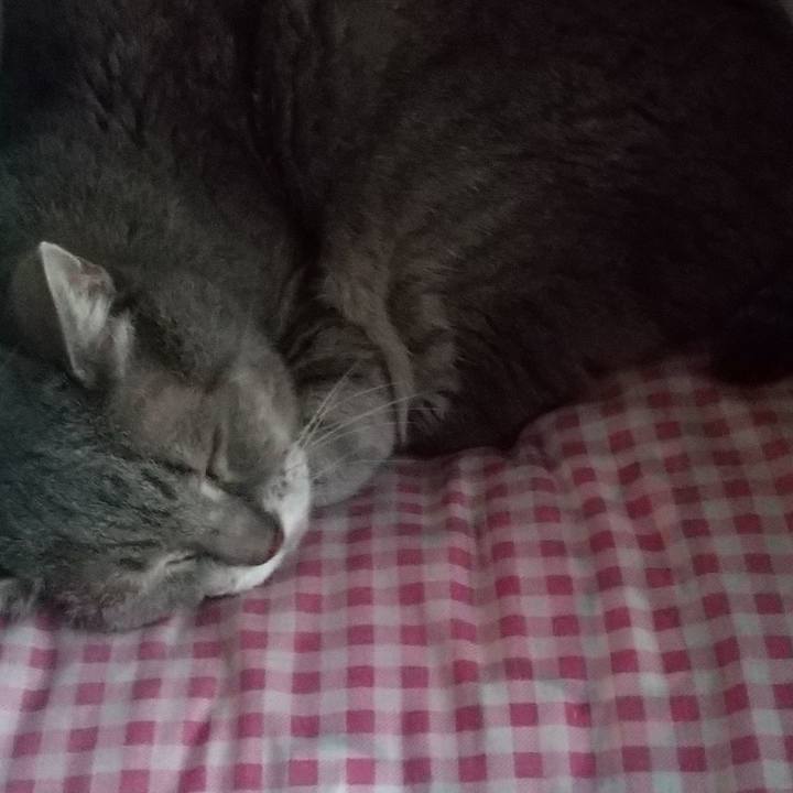 576ef23b 5084 4970 bf29 0ce4ac2ba698 1663991305270