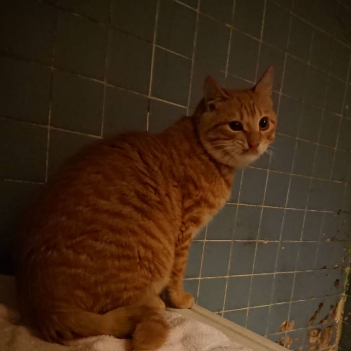 576ef799 6101 45cf 8893 82b33add1080 1639825267501