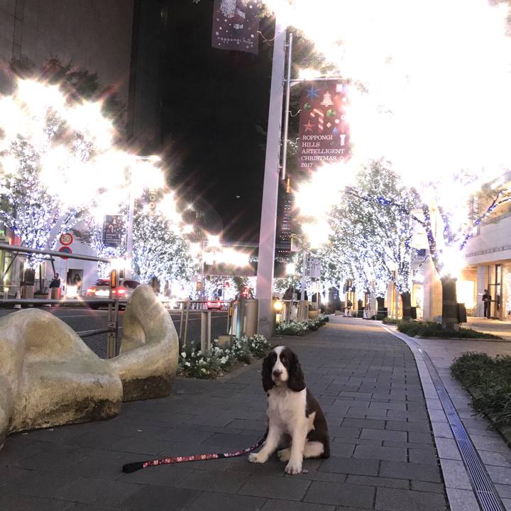 576f6539 d4fe 416c 987d d9c36d9d8c29 1510630510079