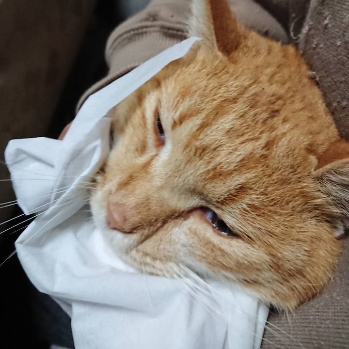 576f7904 e621 41e7 81ae 65df4ab0896c 1576788279620