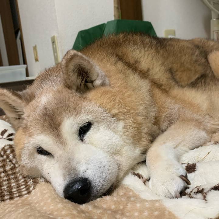 576fa677 78c2 4ab9 97dd b6f0ad45a9f0 1690283574296