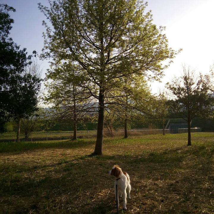 576fe094 d2cd 4b9b a874 187909e0848d 1522628164120