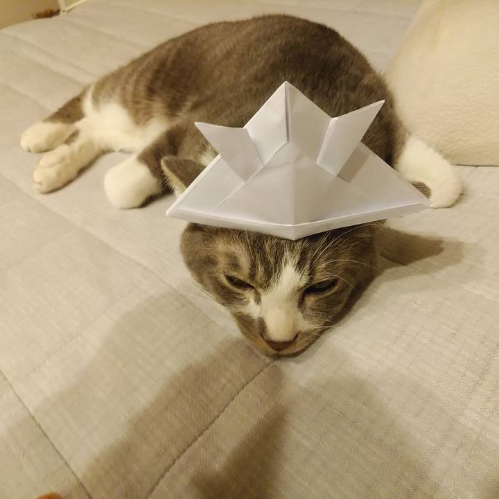 576ff960 380b 4810 b4d8 f53dce76605b 1588683333721