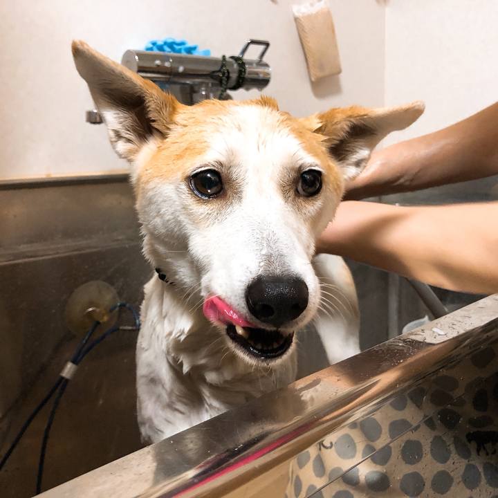 57700406 0724 4559 8472 e1e309758eb3 1591886736892