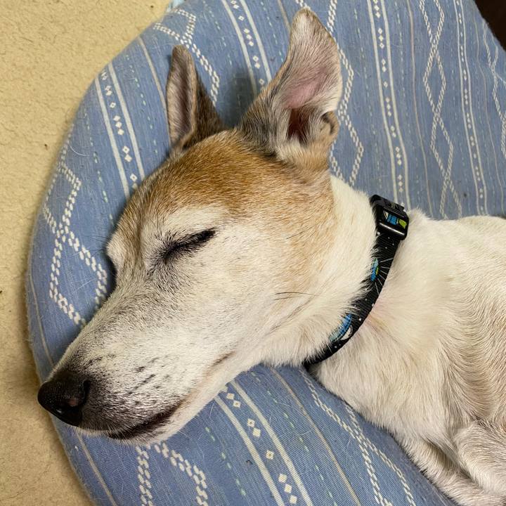 577005d5 f6bc 4a88 81f8 a9b8816a2788 1603801655684