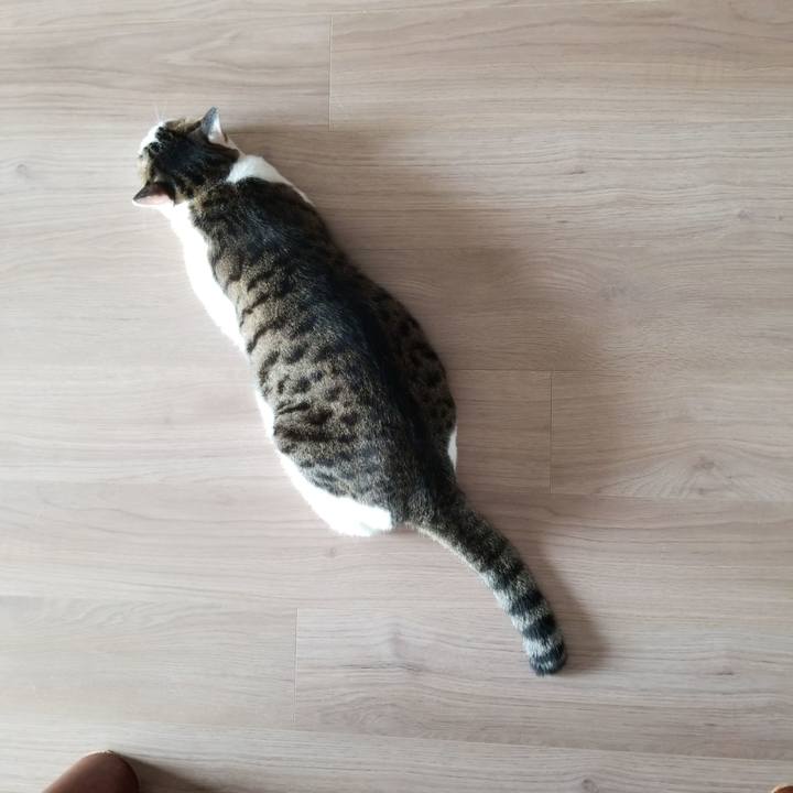 57701c78 79f8 41e7 a271 0a441285eb1a 1571544737928