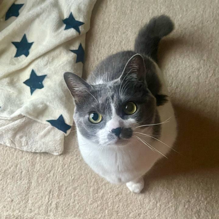 577089fb 282a 420e 9fd7 4532b084f8db 1745358339251