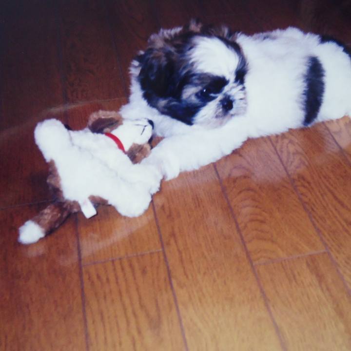 57709597 9409 4ecc 845b e3897c84aa9e 1541679402716